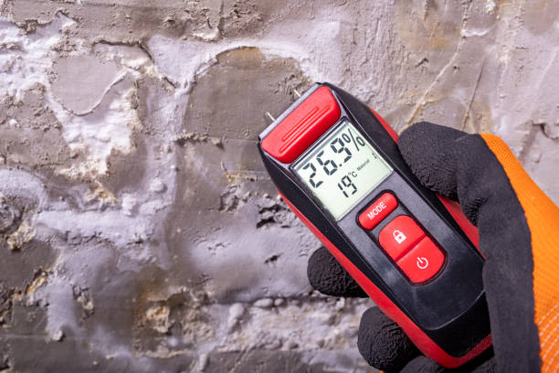 Best White Mold Remediation in Slippery Rock University, PA