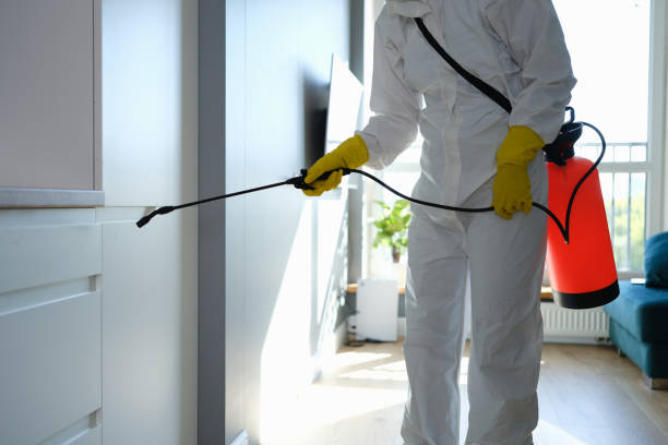 Best Commercial Mold Remediation in Slippery Rock University, PA