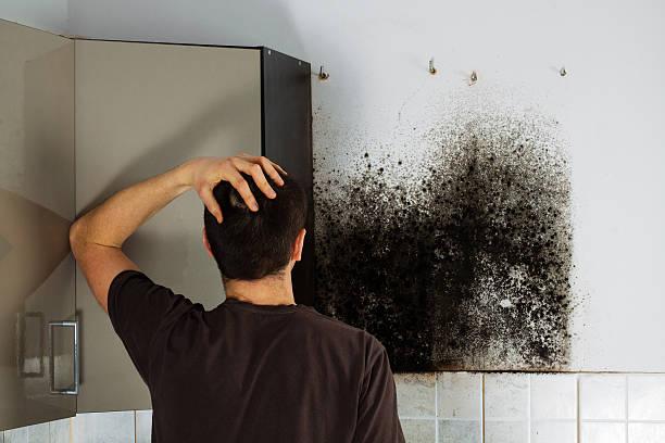 Best Crawl Space Mold Remediation in Slippery Rock University, PA